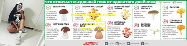 ГАЛЛЮЦИНОГЕННЫЕ ГРИБЫ Бородино